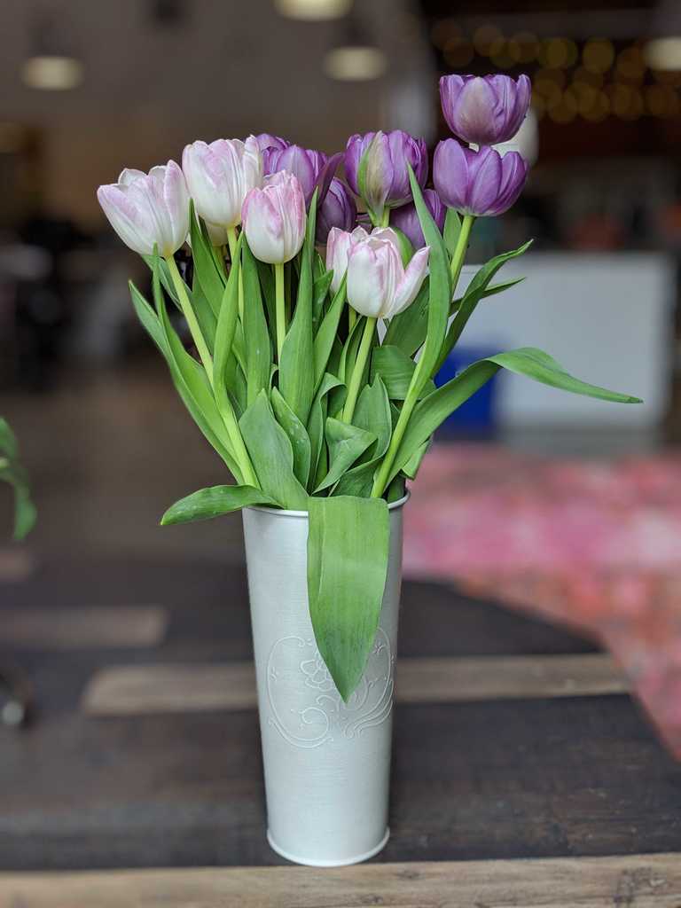 tulipsday2.jpg
