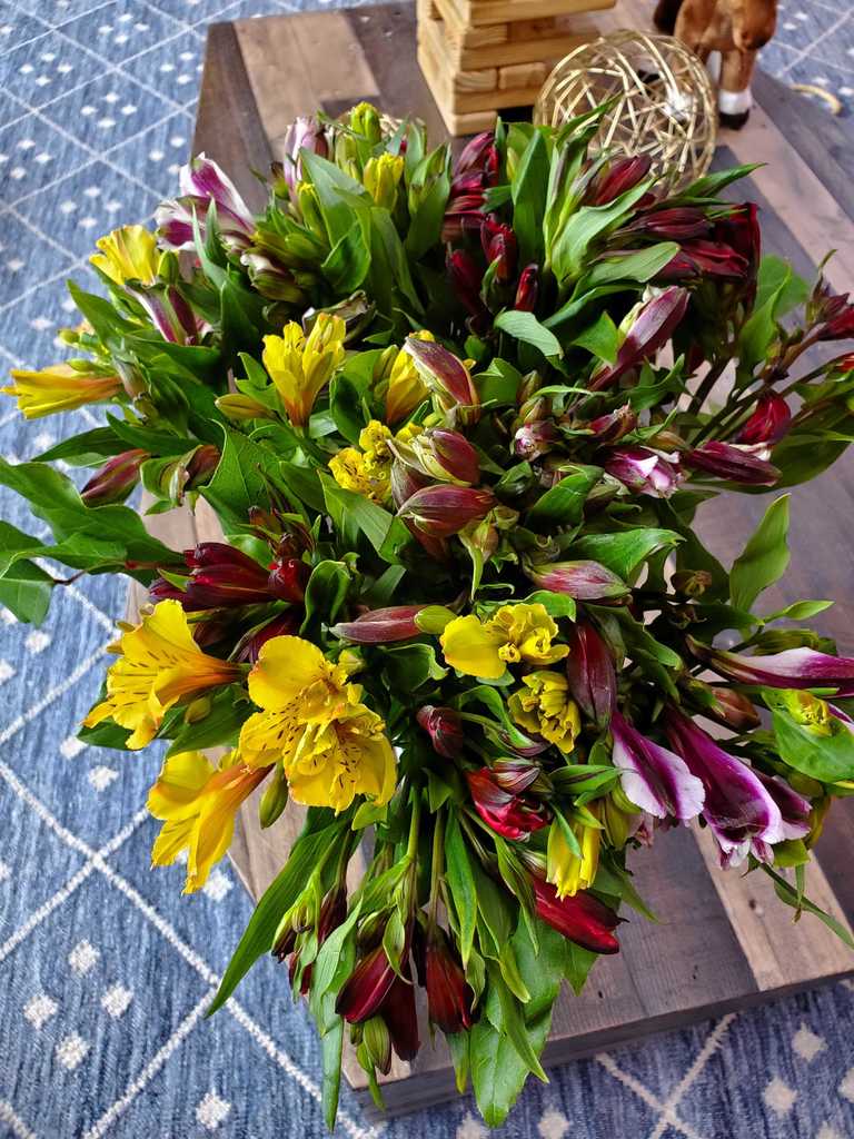 FREQUENTLY ASKED FLOWER QUESTIONS – The Bouqs